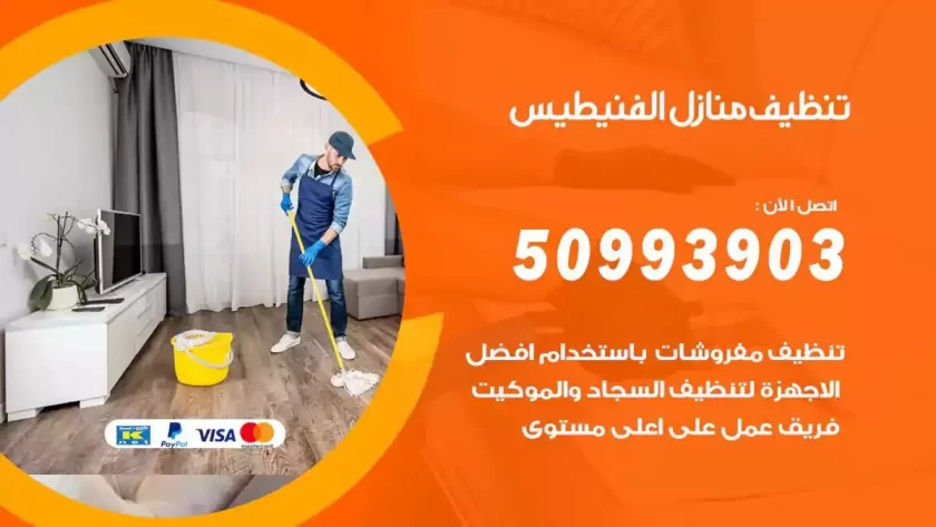 شركات تنظيف شقق وفلل الفنيطيس