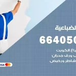 معلم صباغ الضباعية