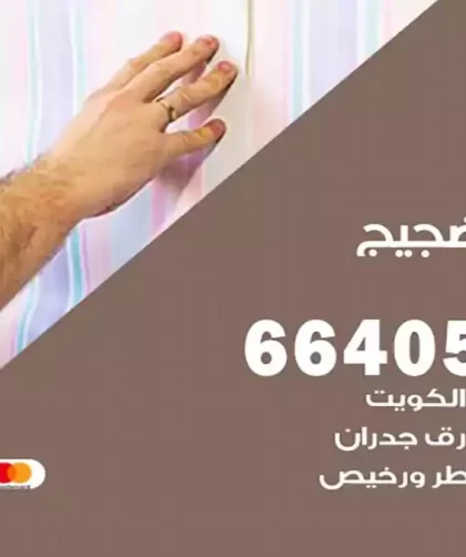 معلم صباغ الضجيج