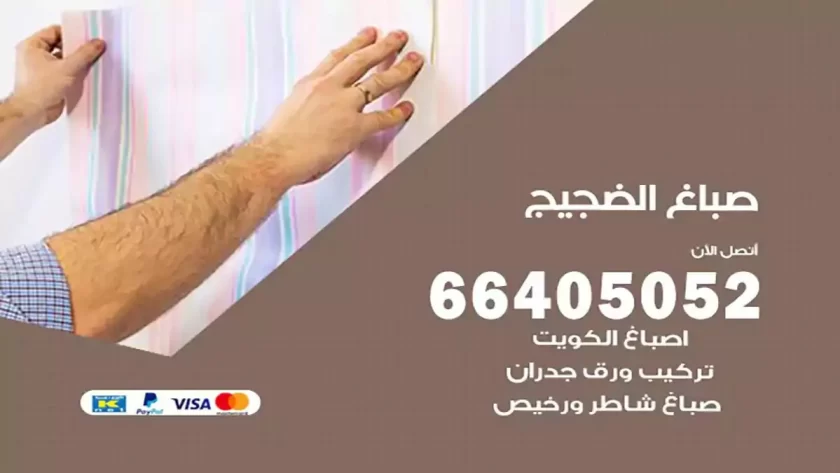 معلم صباغ الضجيج