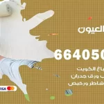 معلم صباغ العيون