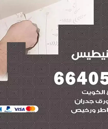 معلم صباغ الفنيطيس