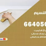 معلم صباغ النسيم