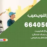 معلم صباغ النويصيب