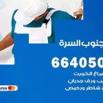 معلم صباغ جنوب السرة