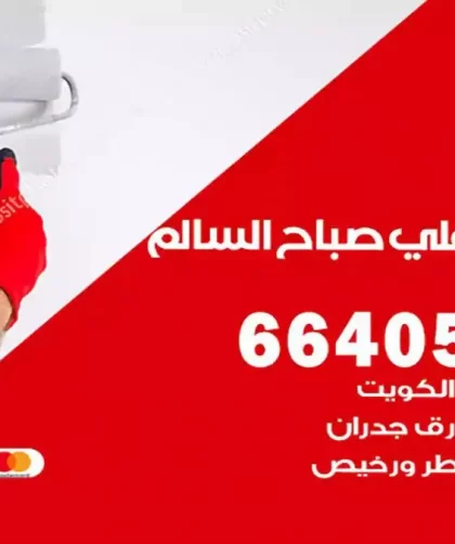 معلم صباغ ضاحية علي صباح السالم