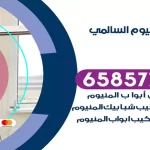 فني المنيوم السالمي