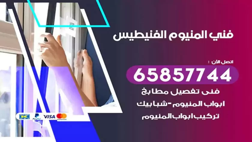 فني المنيوم الفنيطيس