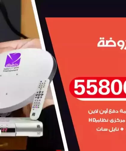 فني تركيب ستلايت الروضة