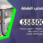 فني صحي النهضة