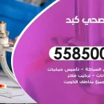 فني صحي كبد