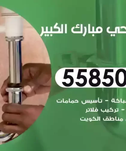فني صحي مبارك الكبير