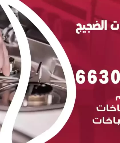فني طباخات الضجيج