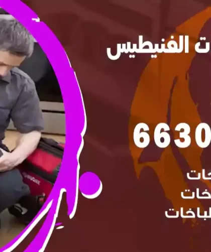 فني طباخات الفنيطيس