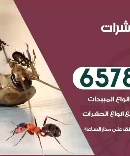 مكافحة حشرات الصبية