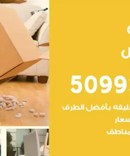 شركة نقل اثاث الفنيطيس